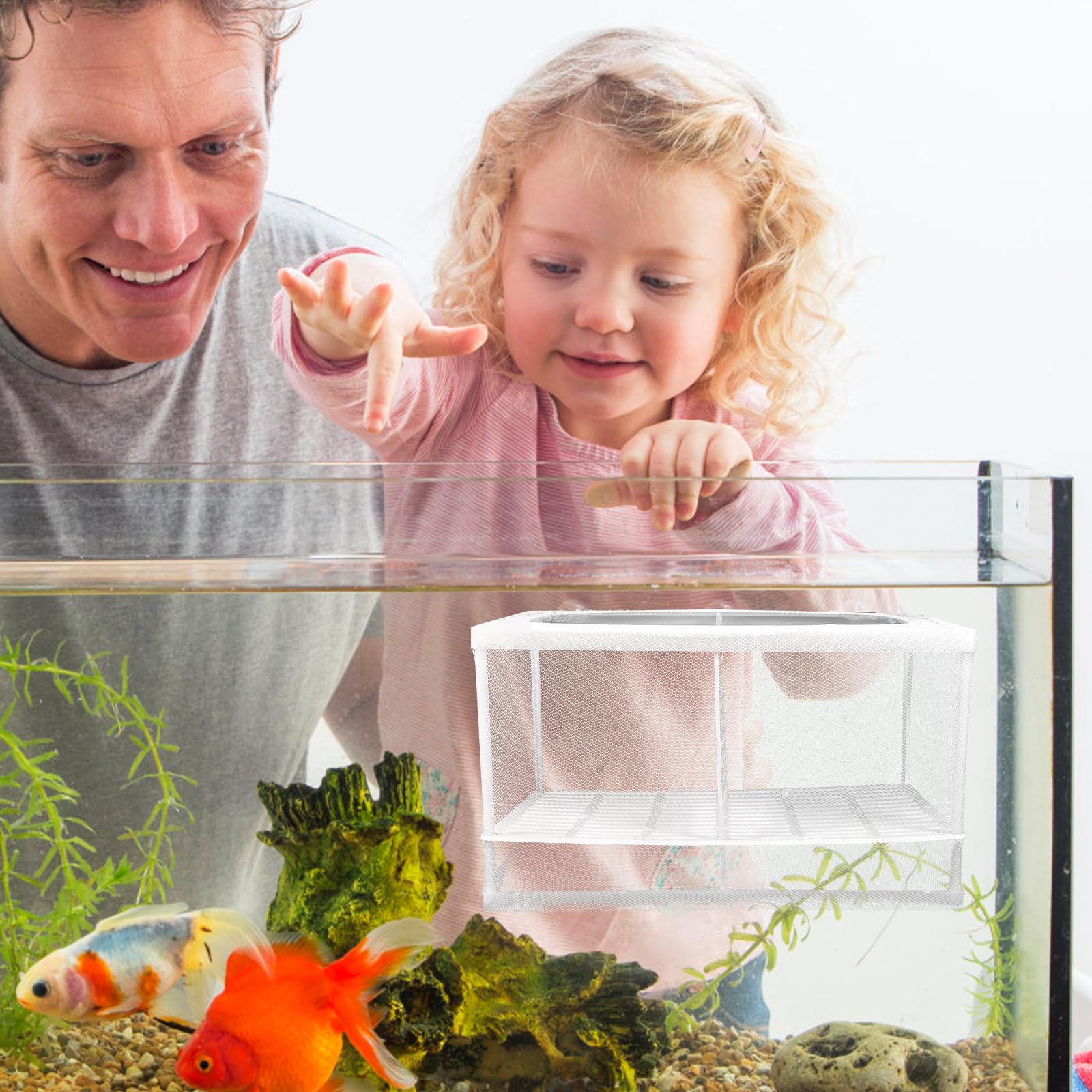 Balacoo 2Pcs Aquarium Breeding Box with Suction Cups - for Baby Fish, Shrimp & Guppy - Perfect for Hatchery & Tank Separation