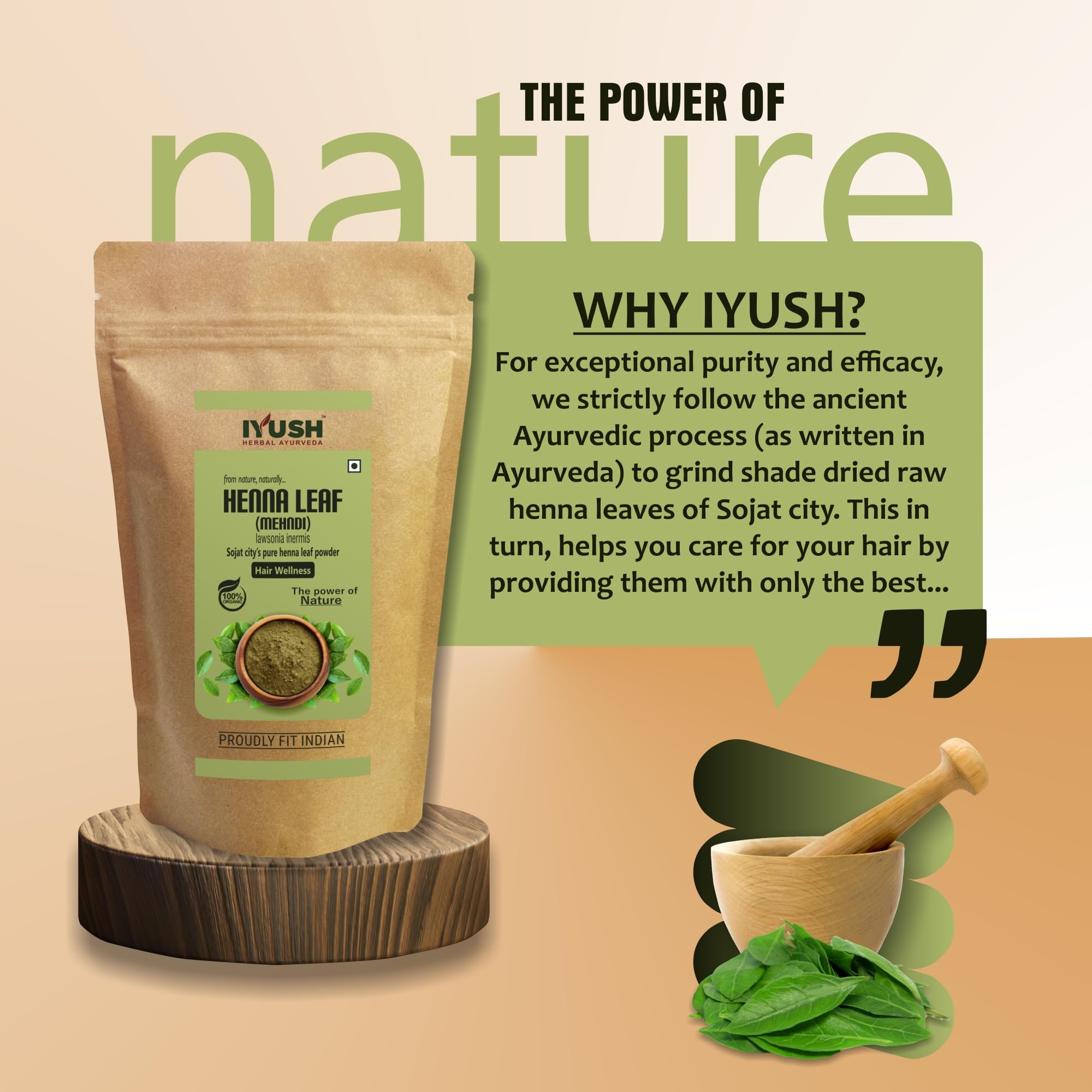 Organic IYUSH Ayurvedic Henna Powder for Hair – 400gm | Natural Herbal Hair Dye & Conditioning Treatment | Chemical-Free Gray Coverage & Hair Coloring | Perfect for DIY Hair Care, Bridal Mehendi, and Natural Hair Styling