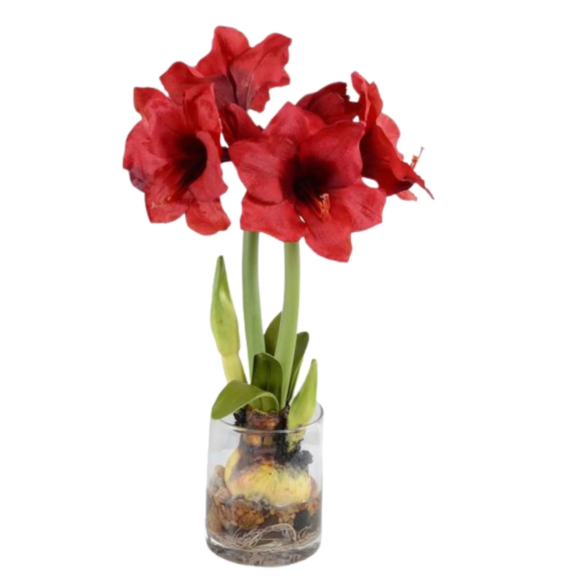 Beautiful Red Amaryllis Flower Arrangement - Perfect for Home Decor, Wedding Centerpieces & Holiday Gifts