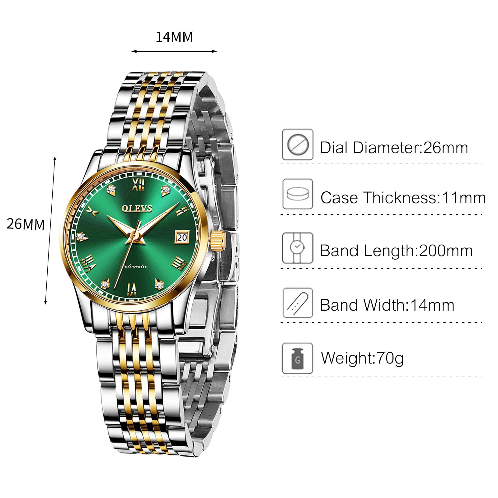 RORIOS Women's Automatic Self-Winding Mechanical Watch with Stainless Steel Band, Date Display & Luminous Hands - Elegant Dress Watch for Business, Party & Everyday Wear