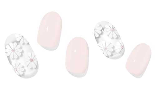 Pink Daisy