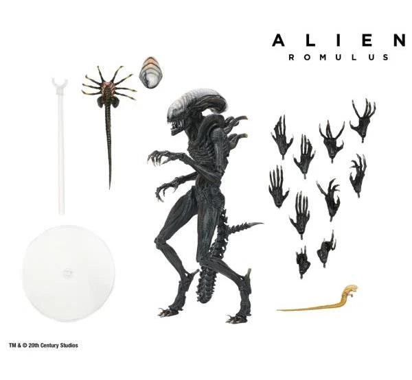 NECA Ultimate Scorched Alien Xenomorph Action Figure - Alien: Romulus Movie Collectible for Display & Gifts