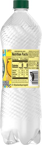 Sparkling Poland Spring Natural Spring Water with Lively Lemon Flavor - 33.8 oz Single Plastic Bottle | Refreshing Hydration for Workouts, Office & Outdoor Activities