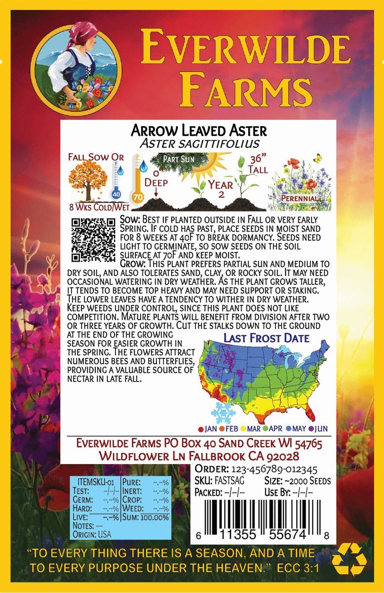 Everwilde Farms - 1 Oz Arrow-leaved Aster Native Wildflower Seeds - Gold Vault Packaging - Attract Pollinators & Beautify Gardens