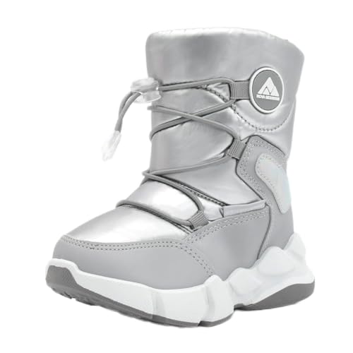 Nfwb105 - Silver