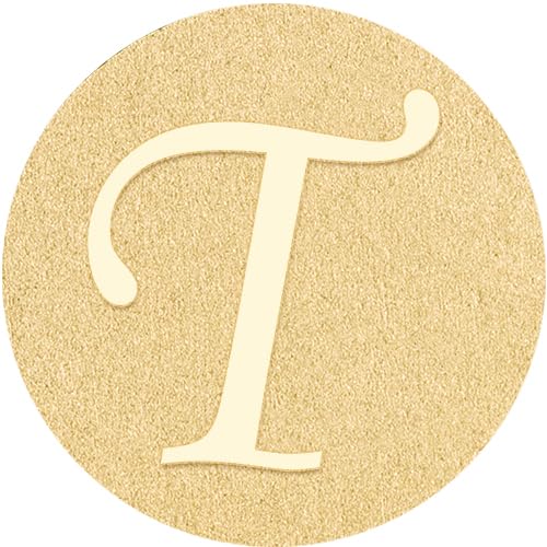 T Tie Pins