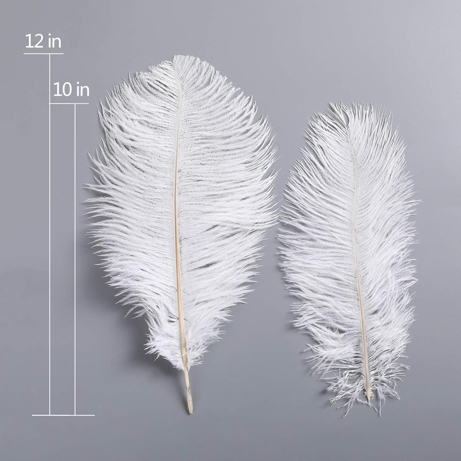 Natural Ostrich Feathers 10-12 inch (25-30cm) - 10pcs White Decorative Feathers for Wedding Centerpieces, Home Decor, Flower Arrangements, DIY Crafts, Christmas Decorations - Perfect for Table Settings, Bouquets, and Party Decor