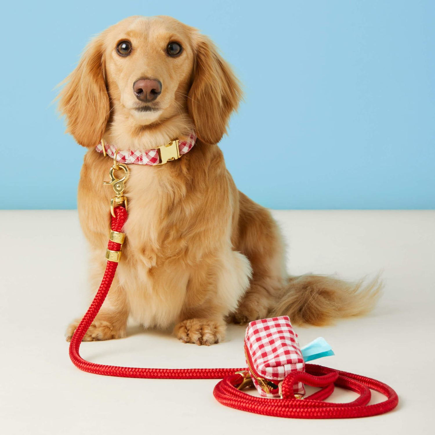 Ruff Trekker Durable Reflective Dog Leash - Strong Nylon Pet Walking Lead with Comfortable Handle for Medium Large Dogs (Ruby Red) - Perfect for Night Walks, Hiking & Outdoor Adventures