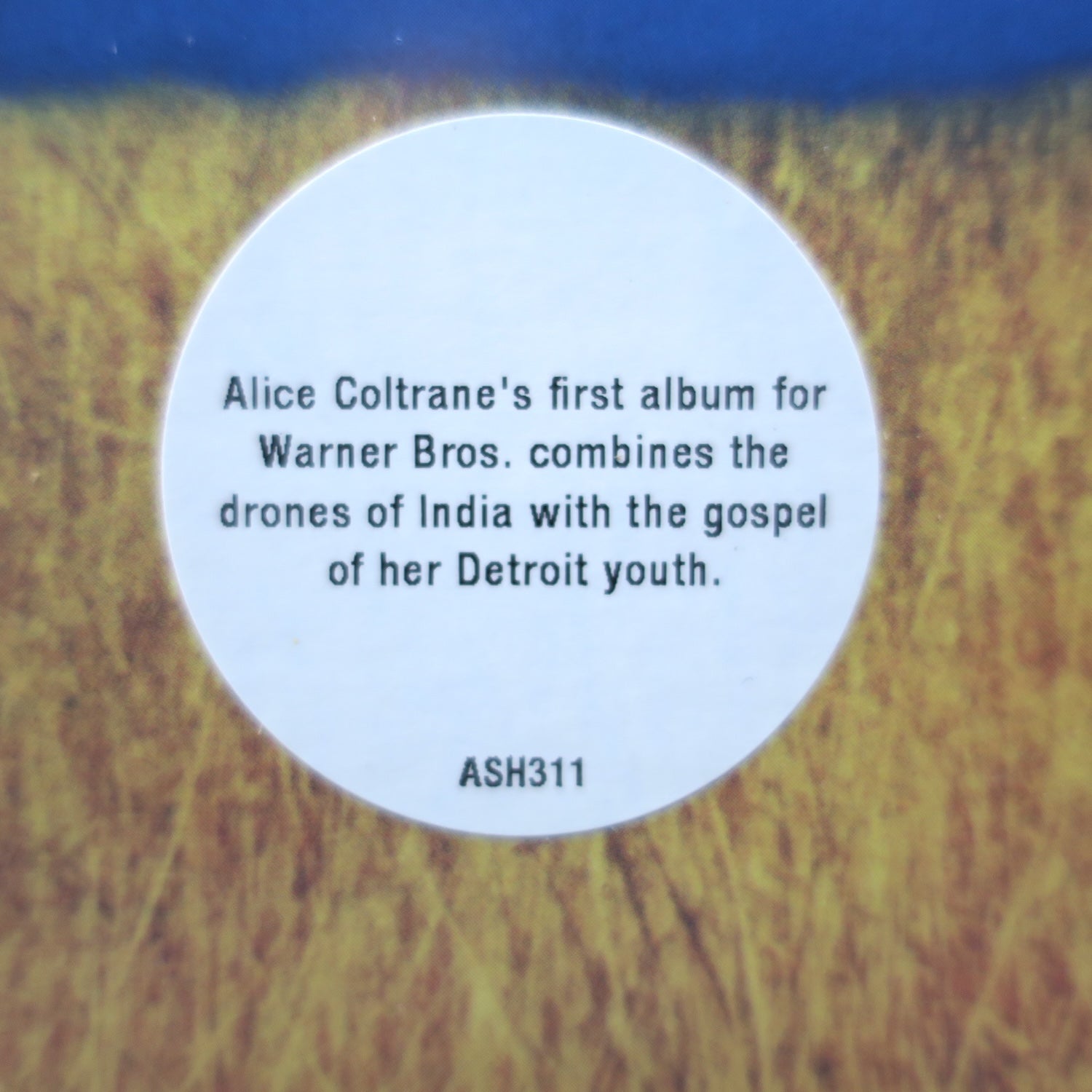 ALICE COLTRANE 'Eternity' Vinyl LP Record - Spiritual Jazz Music for Meditation & Yoga Sessions