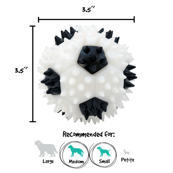 Gnawsome Squeaker Soccer Ball - Durable Dog Toy for Chewing & Play - Perfect for Fetch, Training & Outdoor Activities