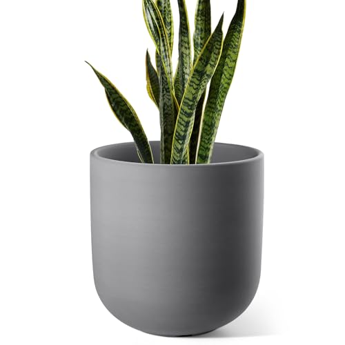 Charcoal Gray