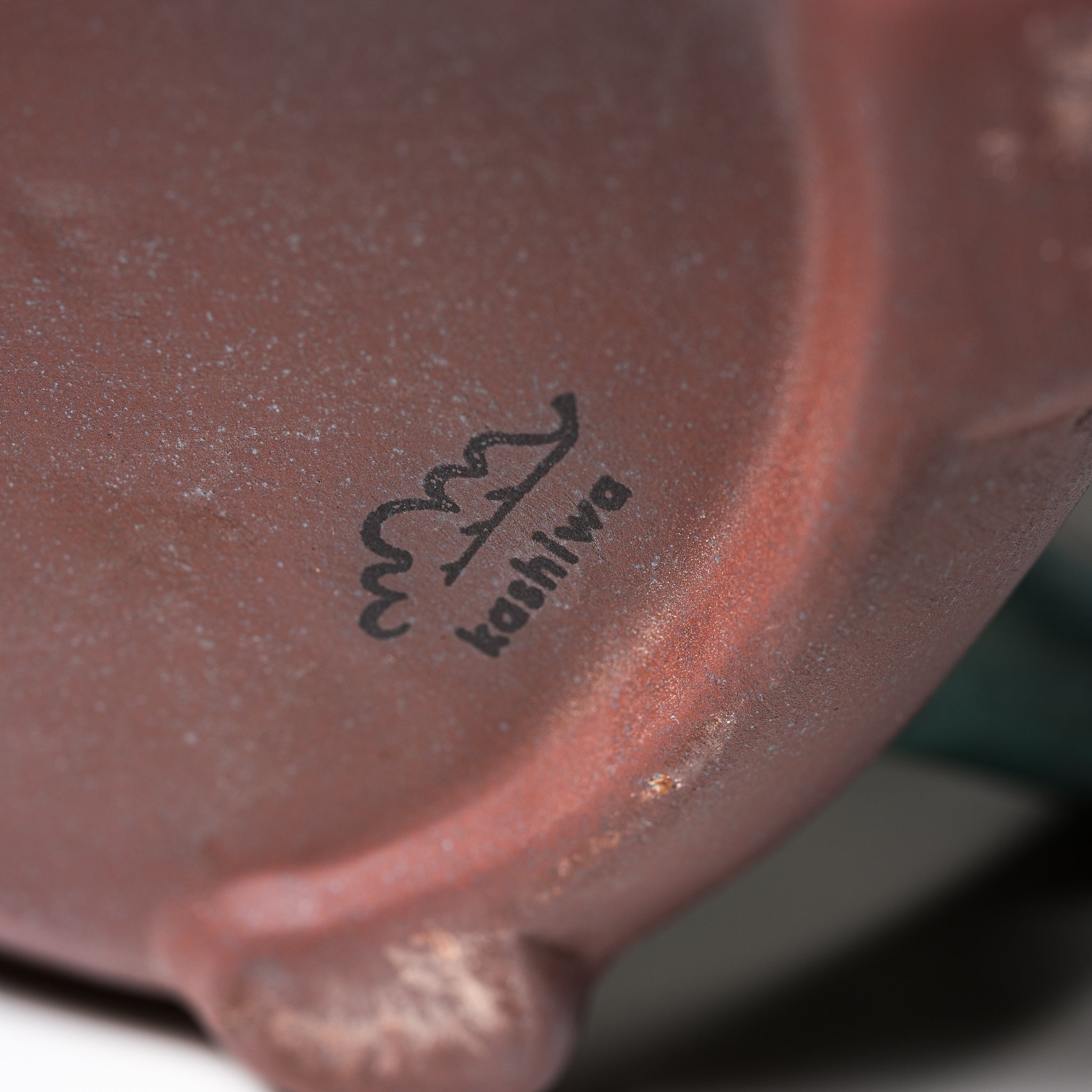 Seto Ware KASHIWA Animal Teapot - Handcrafted Japanese Turtle Teapot, Ceramic Tea Pot with Infuser | Perfect for Japanese Tea Ceremony, Home Decor & Unique Gift