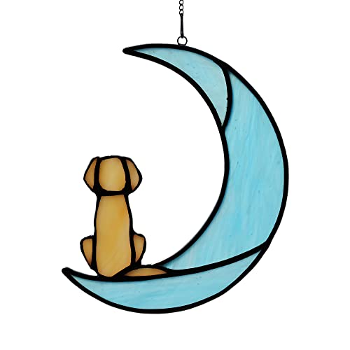 Dog_e