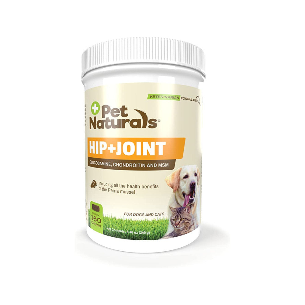 Premium Hip & Joint Support Soft Chews for Dogs - Vet Recommended Supplement for Mobility & Pain Relief - Ideal for Senior Dogs & Active Pets