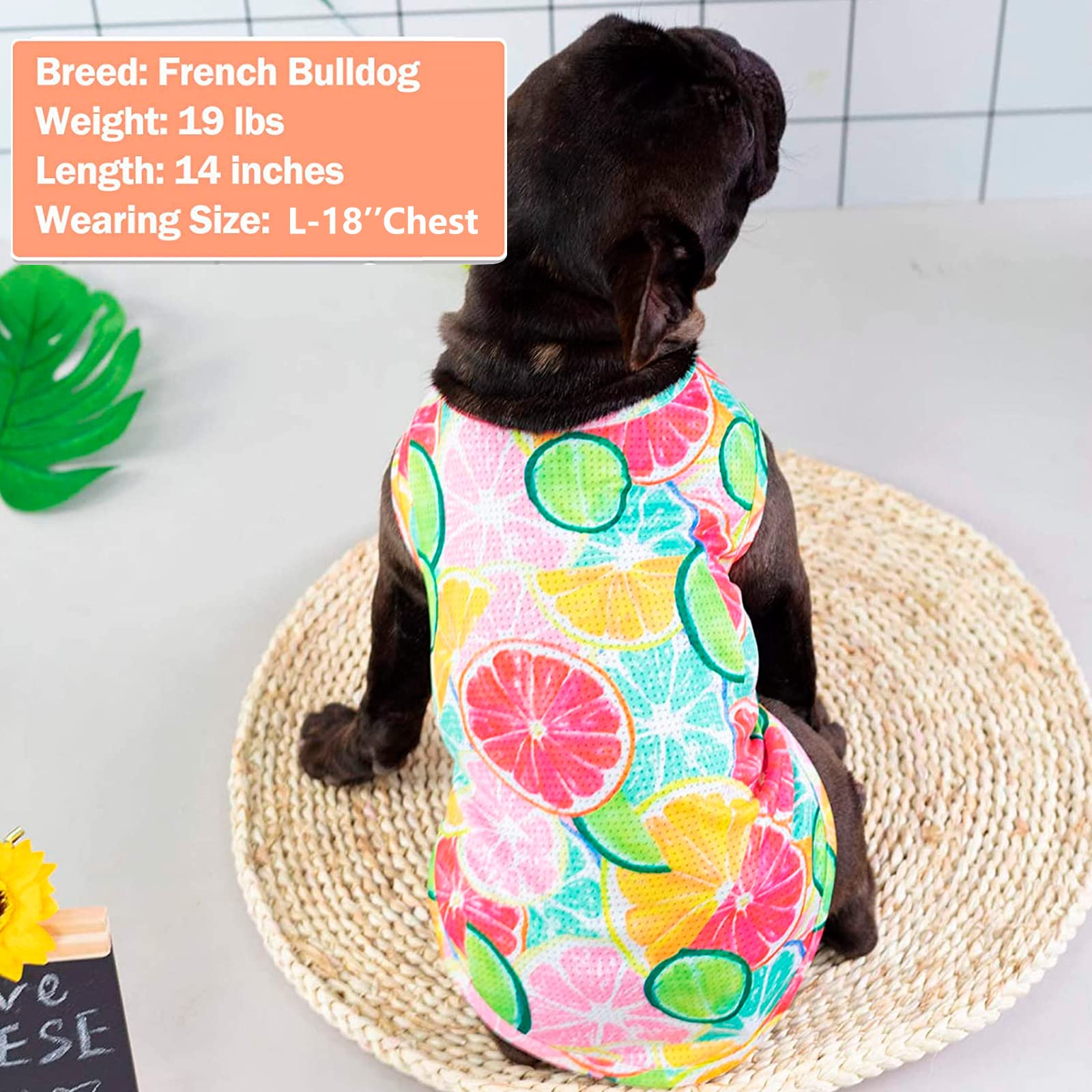 KYEESE 2 Pack Dog T-Shirts for Medium Dogs - Breathable Sleeveless Pet Tank Tops, Soft Cotton Summer Dog Clothes with Lemon Pattern - Perfect for Outdoor Walks, Beach Trips & Playtime