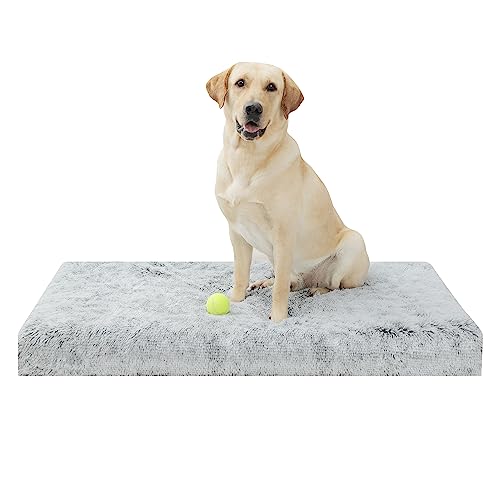 Grey(plush)