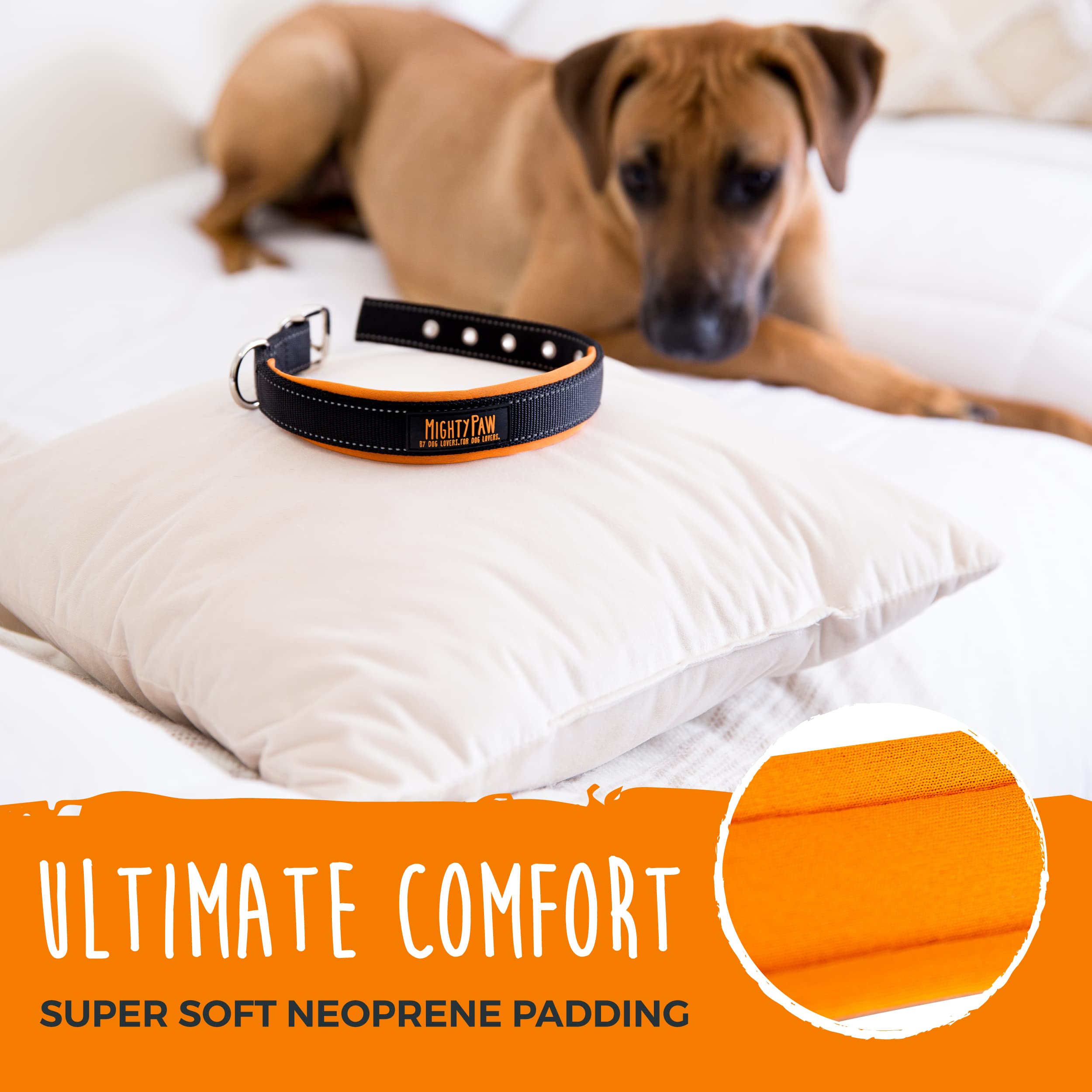 Mighty Paw Ultra Soft Dog Collar with Neoprene Padding - Adjustable All-Metal Buckle for Small & Large Dogs - Durable & Comfortable Pet Collar for Daily Walks, Training & Outdoor Adventures