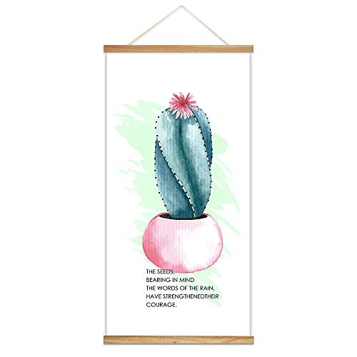Cactus-09