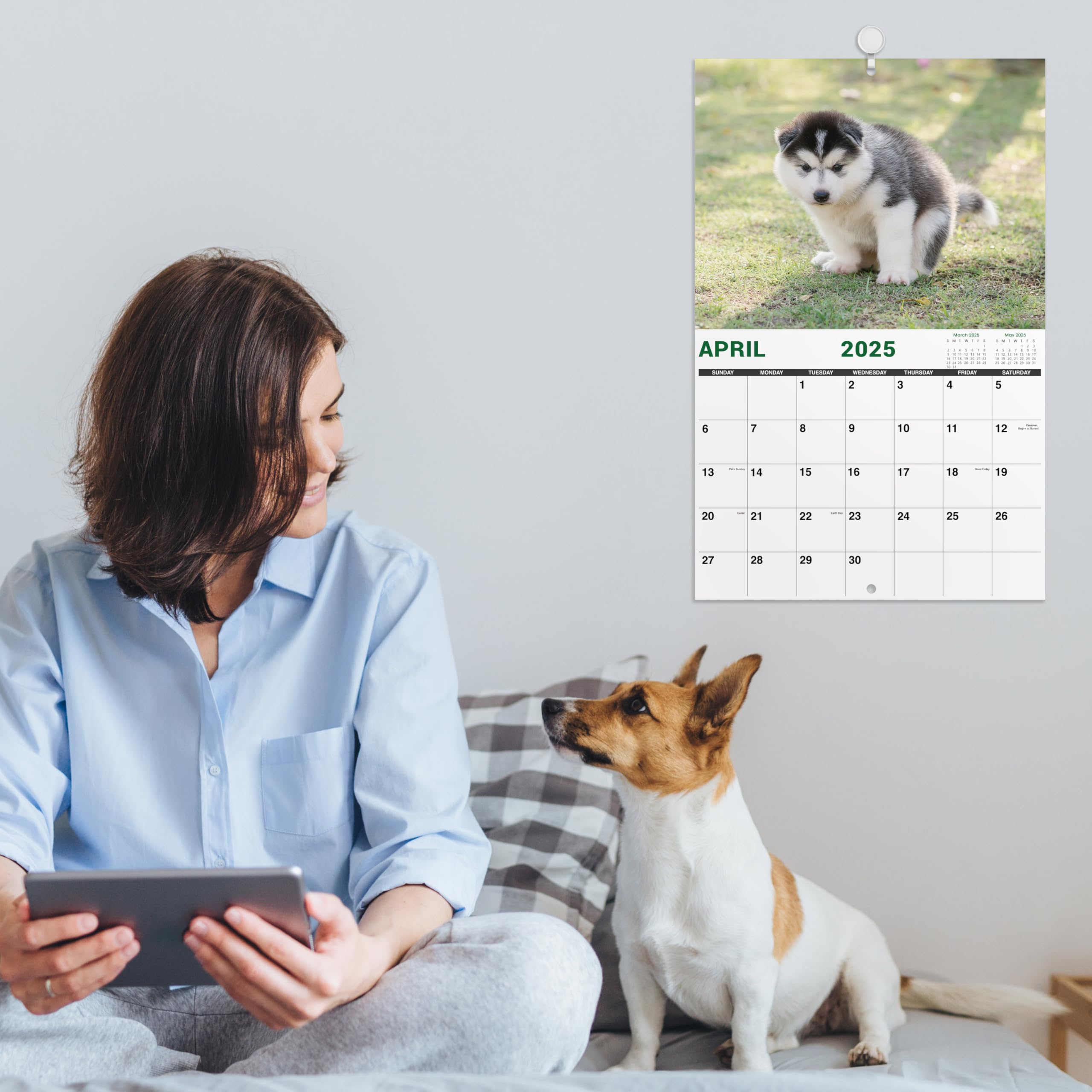 2025 Funny Pooping Dogs Wall Calendar - 11x17 Inch Jan-Dec Gag Gift for White Elephant, Office Humor & Dog Lovers - Perfect for Home, Office Decor & Unique Gift Giving