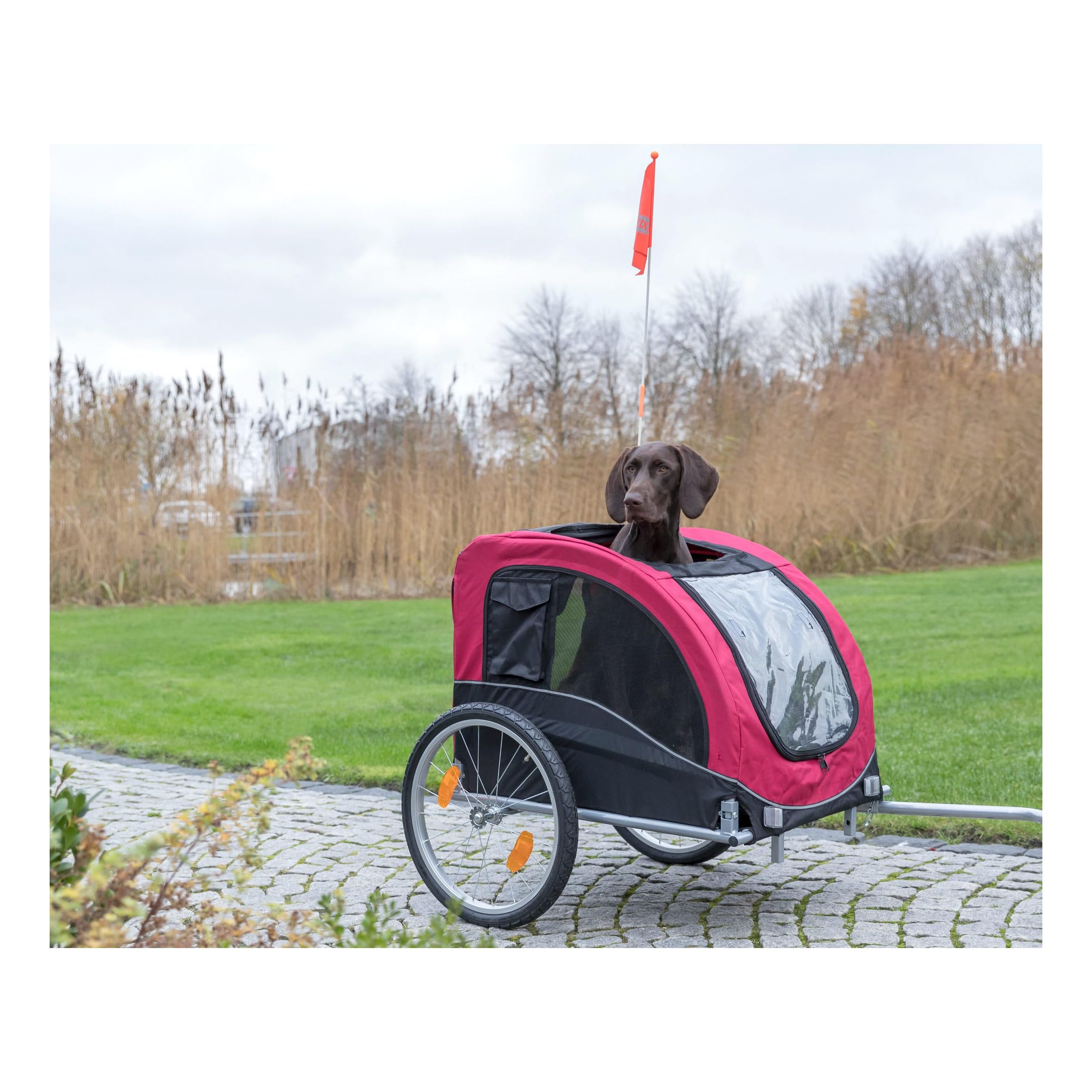TRIXIE Convertible Dog Bike Trailer & Pet Stroller for Medium Dogs up to 66 lbs - Quick Setup Foldable Design - Red - Perfect for Cycling, Jogging & Outdoor Adventures with Your Pet