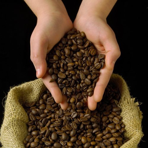 Premium Java Estate Fresh Roasted Gourmet Coffee - 100% Arabica Coffee Beans 5lb Bag - Single Origin Indonesia - Perfect for Home Brewing, Office Use & Gift Giving