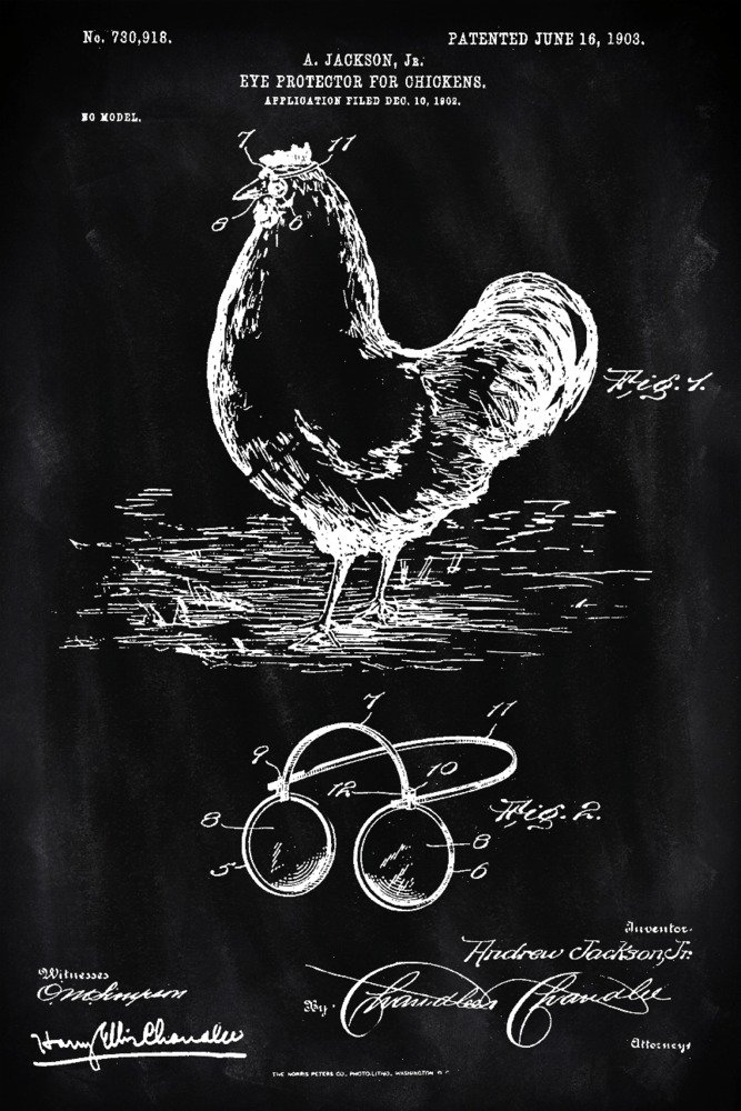 Chicken Eye Protector Blackboard Patent - 24x36 Gallery Quality Metal Wall Art, Aluminum Home Decor for Kitchen, Office & Farmhouse Style