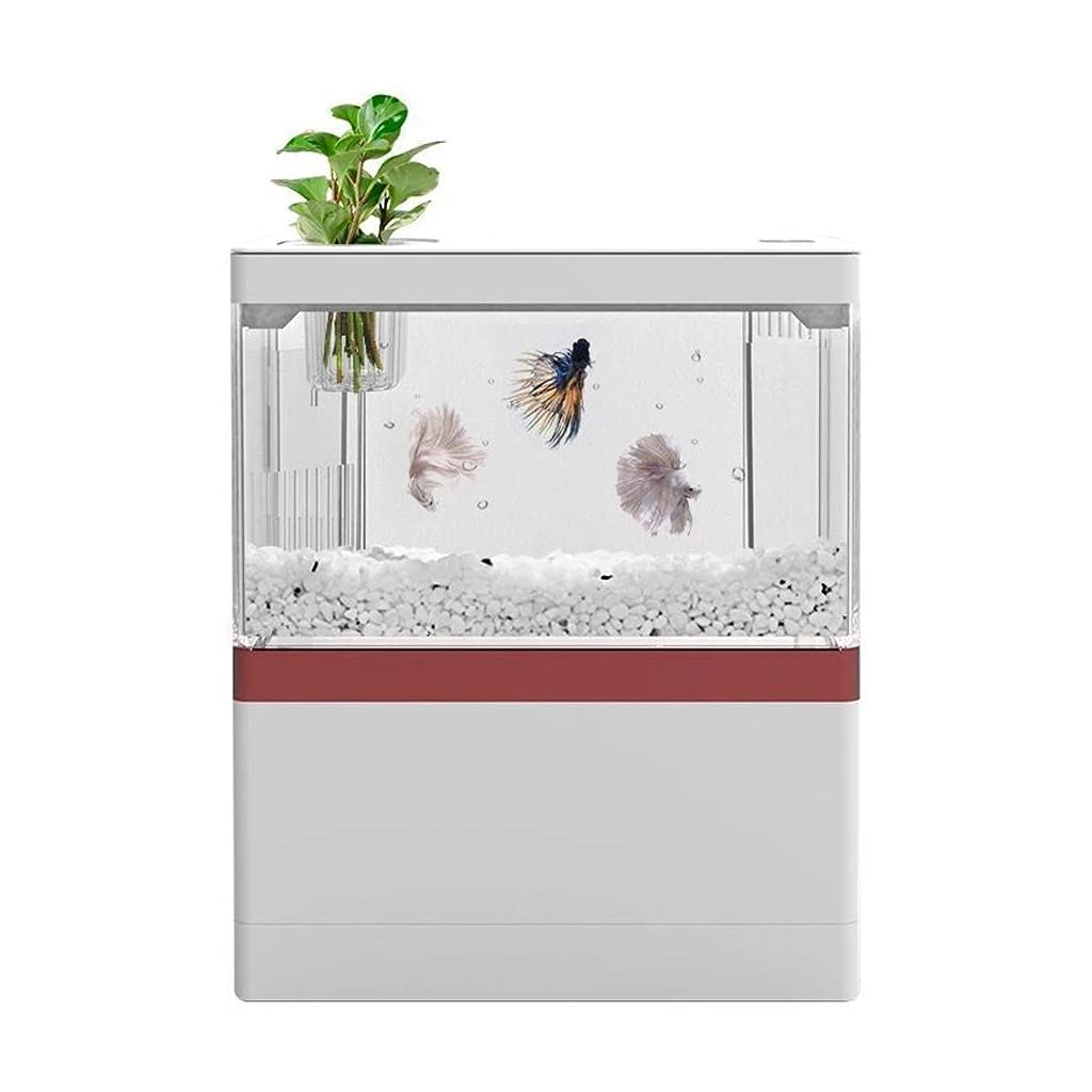Mini USB Desktop Aquarium Fish Tank with LED Light & Phone Holder - Betta Fish Cylinder for Office, Home Decor, and Relaxation