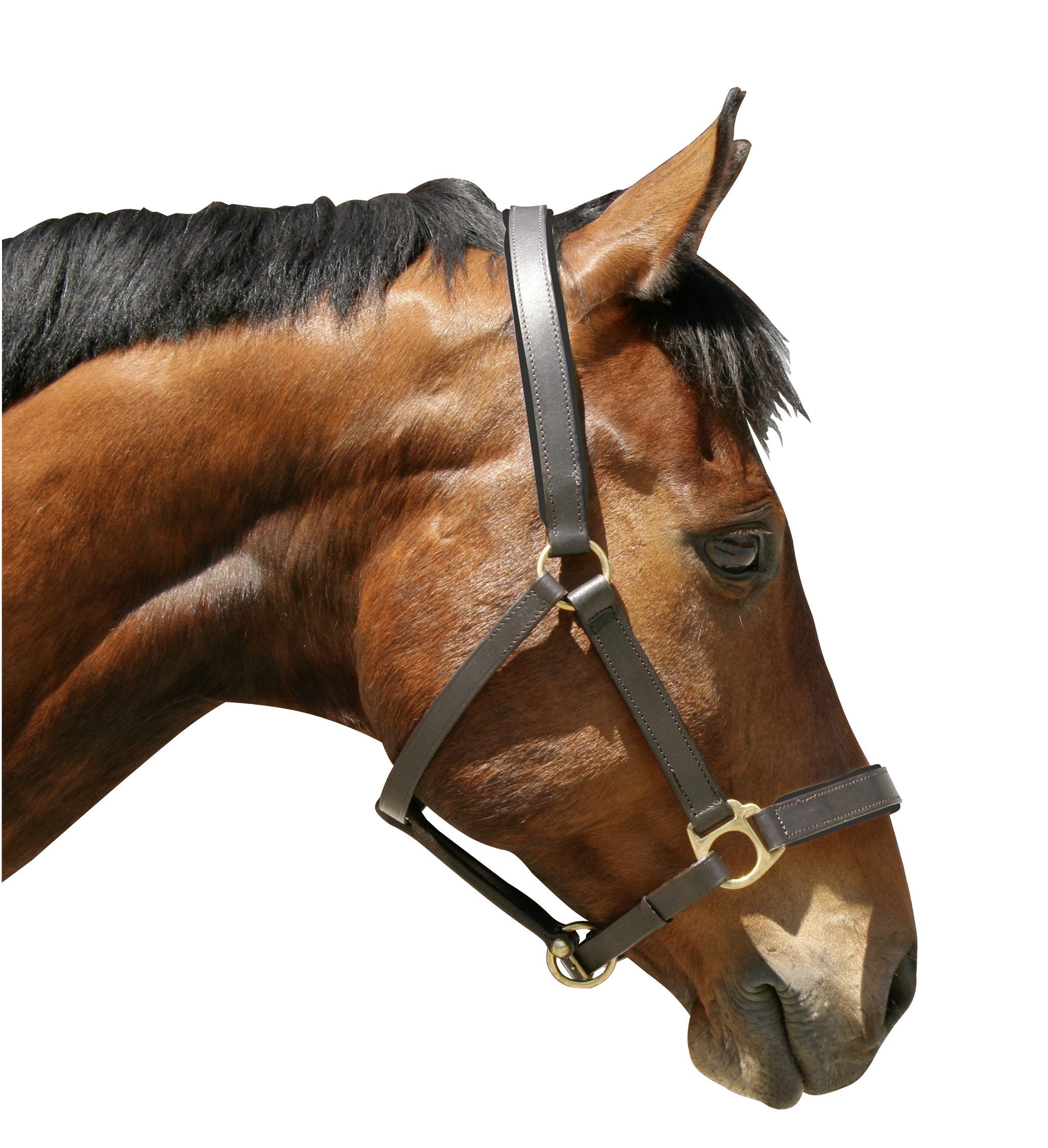 Kerbl Eco-Friendly Dog Head Collar - Gentle No-Pull Training Harness for Small & Medium Dogs - Perfect for Walking, Training & Behavior Control