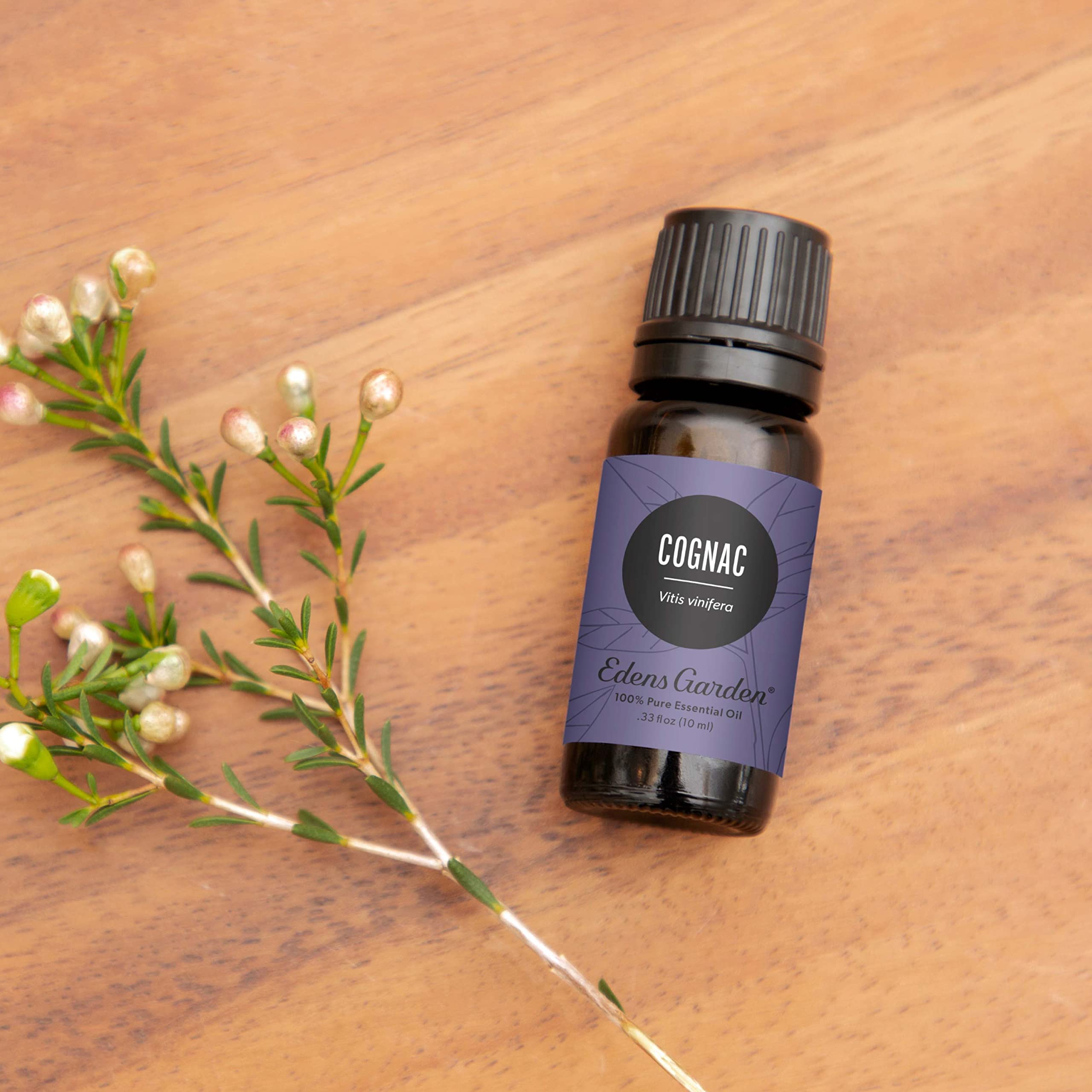 Edens Garden Cognac Essential Oil - 100% Pure Undiluted Therapeutic Grade for Aromatherapy, Diffusers, Candles & Humidifiers | Natural Fragrance Oil for Relaxation, Stress Relief & Home Scenting (30ml/1 fl oz)