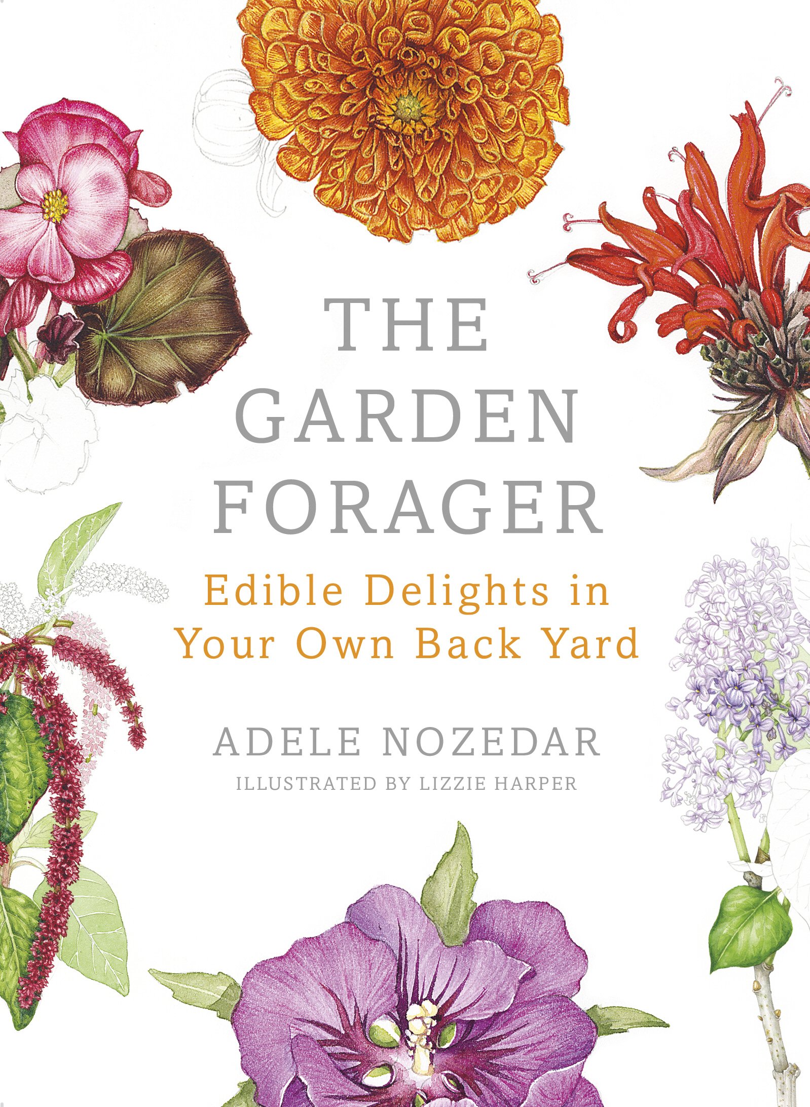 The Garden Forager: Discover Edible Plants & Delicious Wild Foods in Your Backyard - Perfect for Homesteading, Survival & Organic Gardening