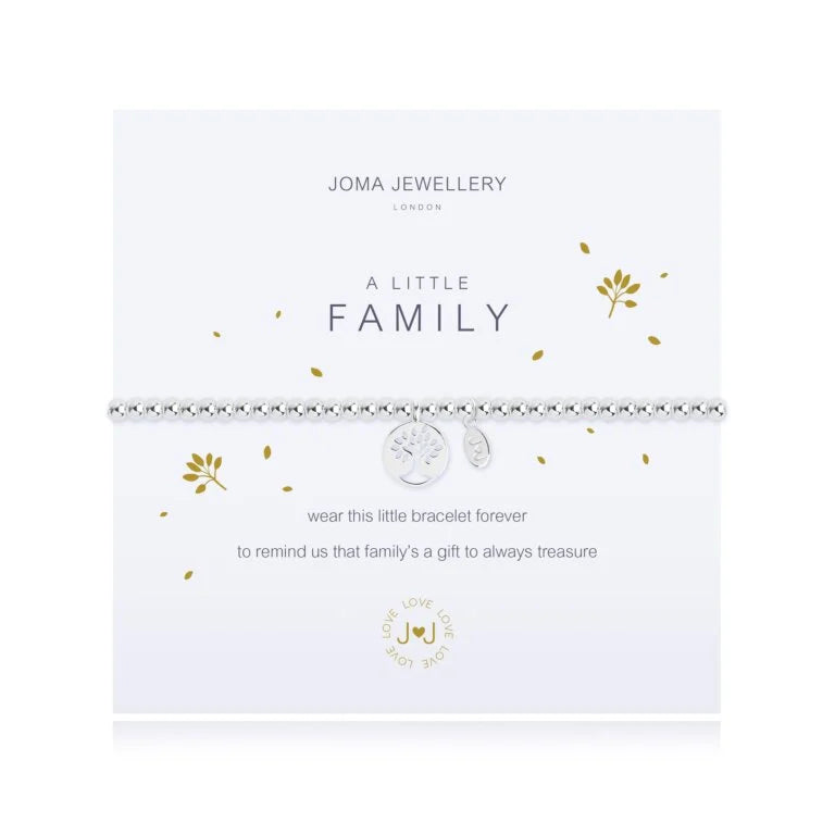 Joma Jewellery Bracelet - A Little Family Charm Bracelet for Women, Sterling Silver Engravable Gift for Mom, Sister, Daughter | Perfect for Birthdays, Anniversaries & Family Celebrations