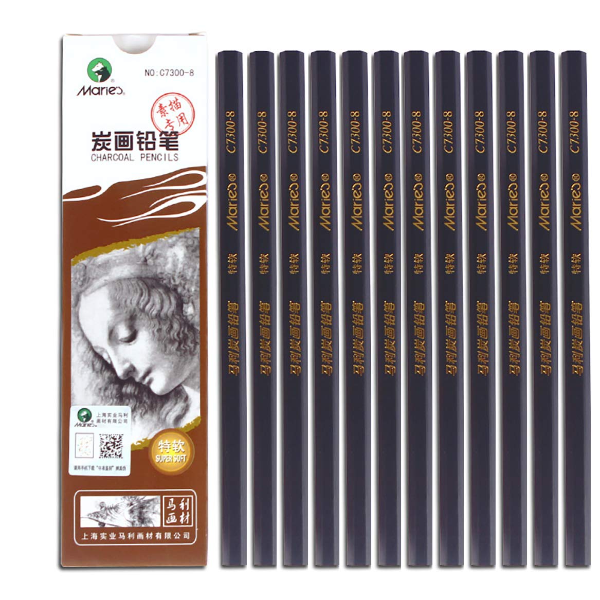 YYMIYU 12-Piece Super Soft Carbon Painting Pencils for Charcoal Drawing & Sketching - Professional Art Supplies for Beginners & Artists - Perfect for Portraits, Landscapes & Still Life Drawings