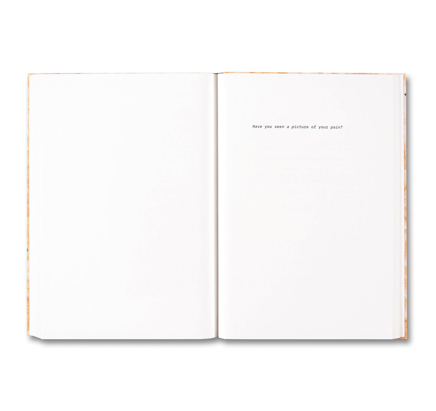 ANOTHER ONLINE PERVERT by Brea Souders - Signed Photography Book - Perfect for Art Collectors & Contemporary Photography Enthusiasts