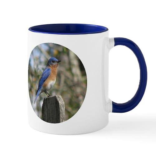 White/Navy Inside - Eastern Bluebird Mug