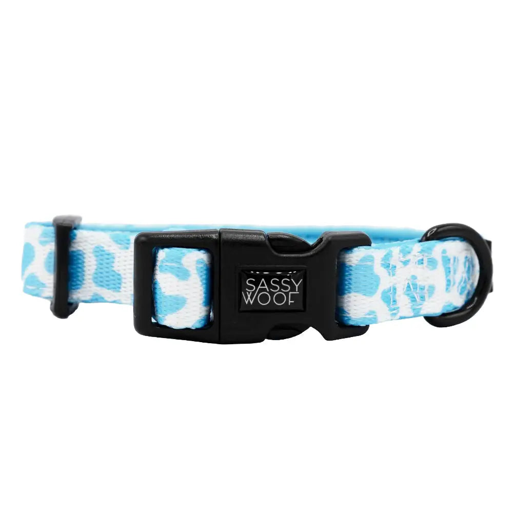 Fresh Blueberry Flavored Dog Collar with Milk Scent - Comfortable Adjustable Pet Collar for Small & Medium Dogs - Perfect for Walks, Training & Outdoor Adventures