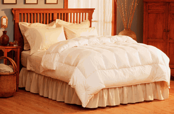 Pacific Coast Feather Down Comforter - Lightweight Warm All Season Bedding for Cozy Sleep | Perfect for Bedroom, Guest Room & Cold Weather Nights