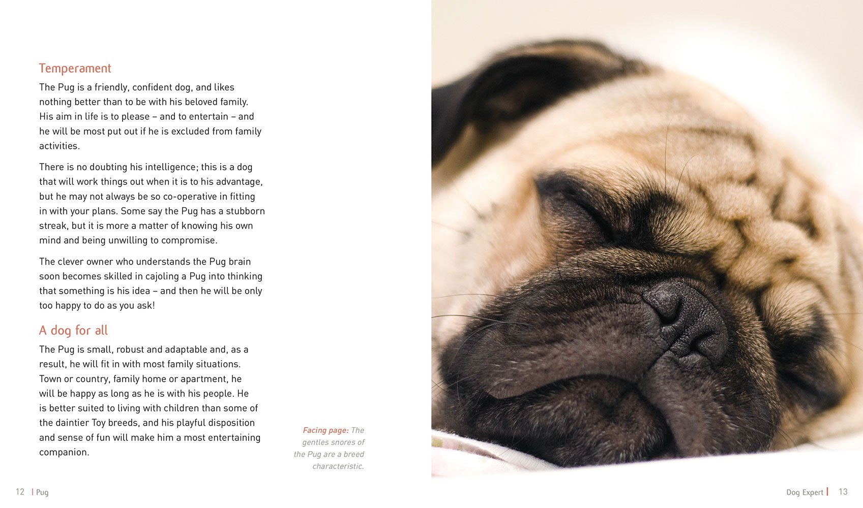 **Pug Dog Care Guide: Expert Tips for Training, Grooming & Health | Perfect for Families & First-Time Owners**    *(Use Cases: Ideal for new pug owners, families with kids, or anyone looking for expert advice on raising a happy and healthy pug.)*