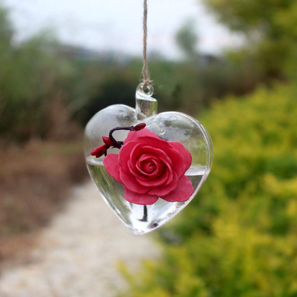 Ghwhimne Glass Hanging Terrarium Vase - Creative DIY Planter for Indoor Plants | Home Garden Decor, Wall or Tabletop Display | Perfect for Succulents, Air Plants & Home Office Decor