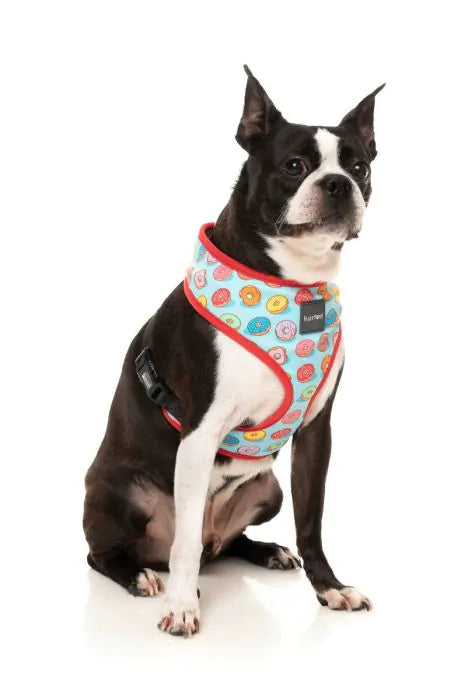 Fuzzyard You Drive Me Glazy Reflective Dog Harness - Adjustable Pet Vest for Small Medium Large Dogs - Perfect for Night Walks, Hiking & Outdoor Adventures