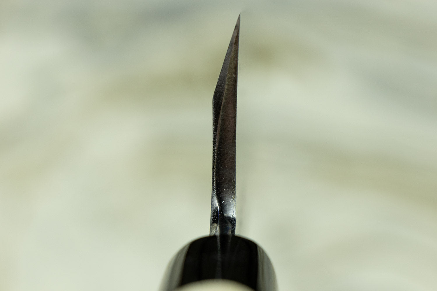 Premium Sakai Takayuki Tokujo Shirogami Garasuki 180mm Japanese Poultry Knife - Perfect for Butchering Chicken, Turkey & Meat Preparation