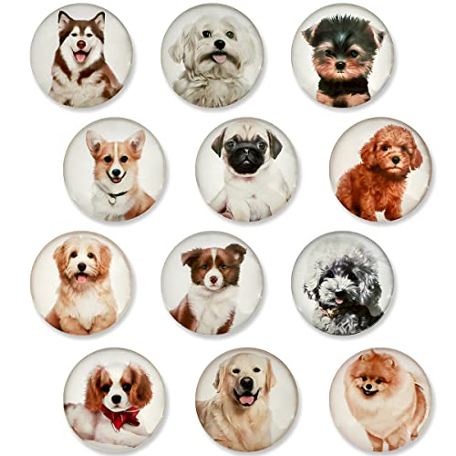 Dogs