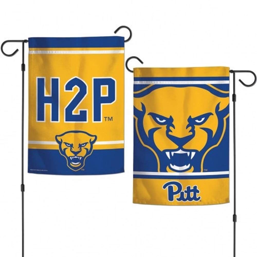 Pittsburgh Panthers 12.5
