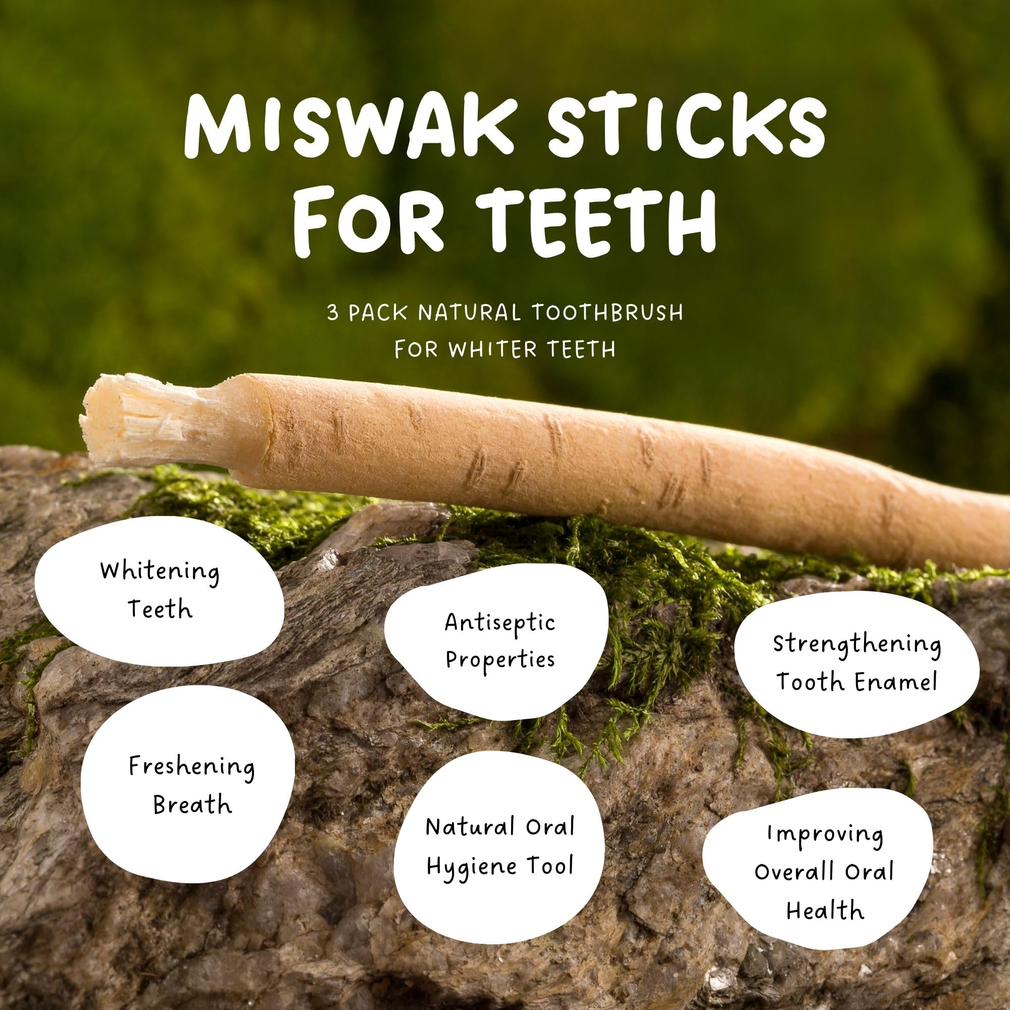 Natural Miswak Sticks for Teeth Cleaning - Organic Toothbrush Alternative, No Toothpaste Needed | Siwak Chew Sticks (Meswak) for Fresh Breath & Oral Hygiene | Perfect for Travel, Camping & Eco-Friendly Dental Care