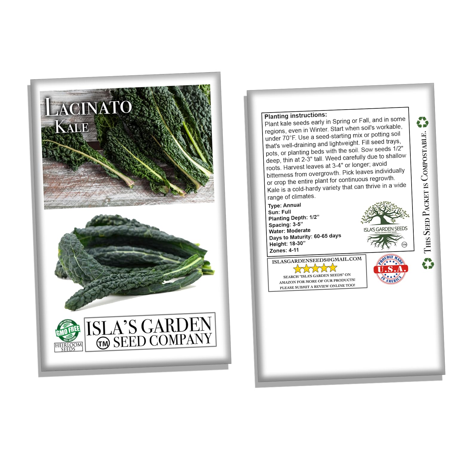 Organic Lacinato Kale Seeds for Planting - 500+ Heirloom Non-GMO Seeds (Brassica oleracea) | Perfect for Home Gardening, Urban Farming & Healthy Cooking | Great Gift for Gardeners