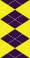 Purple/Yellow