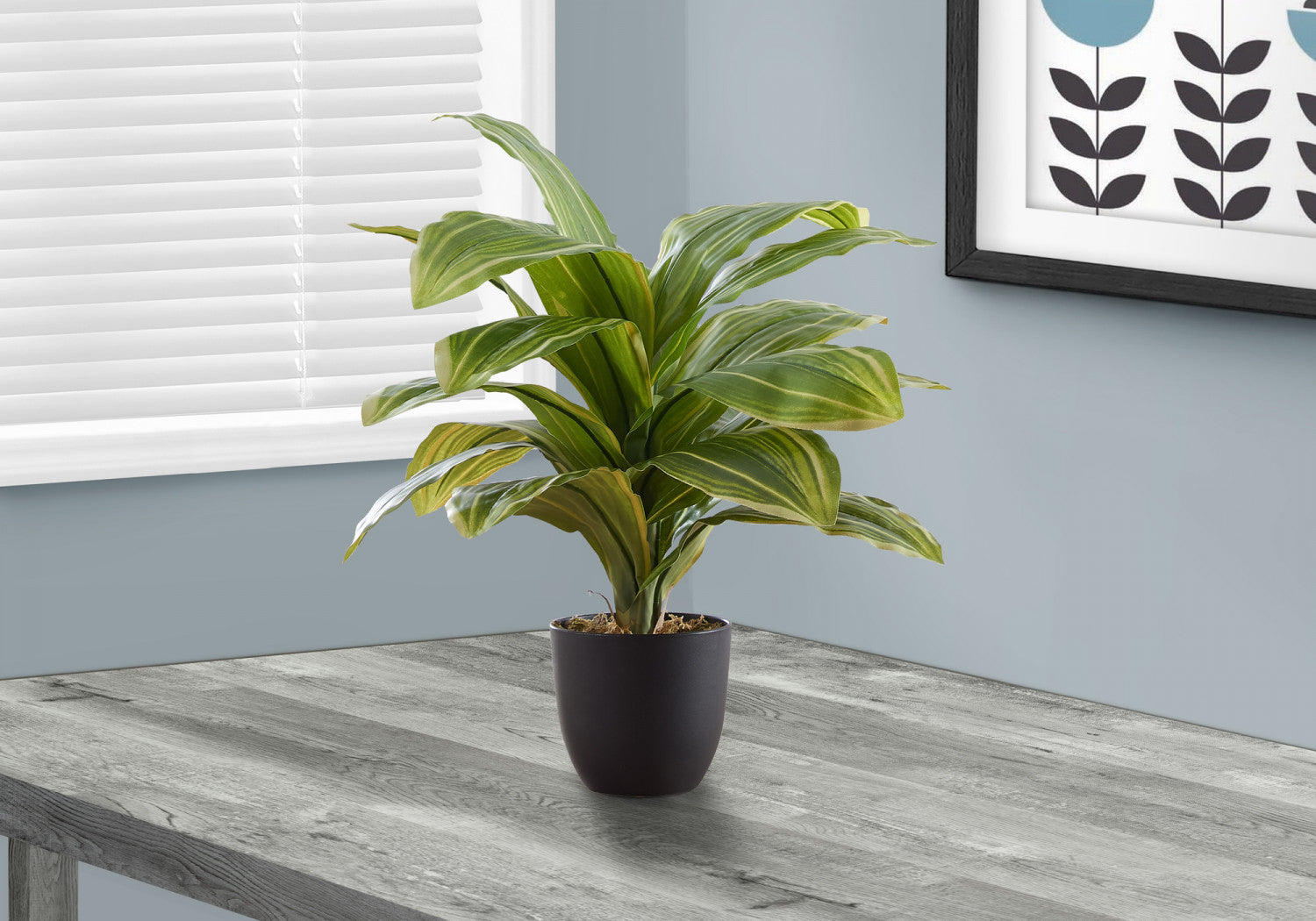 17 Inch Dracaena Plant in 4 Black Pots - Perfect for Home, Office, and Indoor Decor