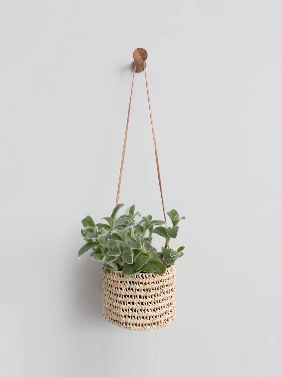 Open Weave Hanging Baskets for Plants - Breathable Wall Mounted Planters for Indoor & Outdoor Decor - Perfect for Herbs, Flowers, and Succulents