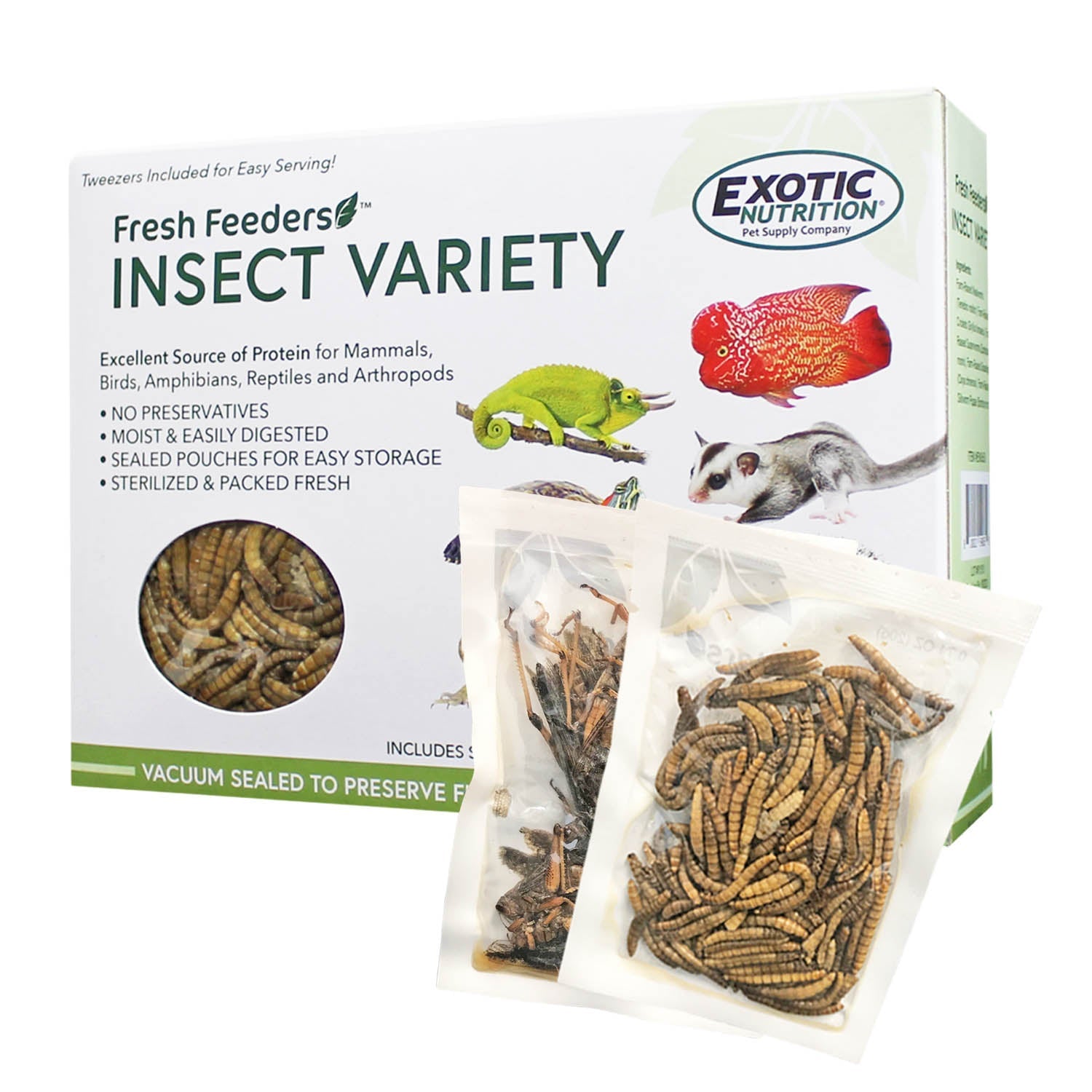 Fresh Feeders for Reptiles & Amphibians - Live Crickets, Worms & Insects - Perfect for Pet Lizards, Frogs & Turtles - High Protein Food for Healthy Growth & Nutrition