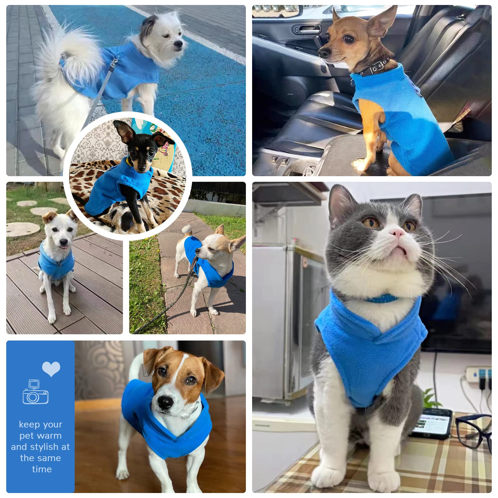 Soft Fleece Winter Dog Sweater & Cat Vest with Leash O-Ring - Warm Pet Pullover Coat for Small Dogs & Cats - Chihuahua & Shih Tzu Apparel - Blue | Perfect for Cold Weather Walks & Indoor Comfort