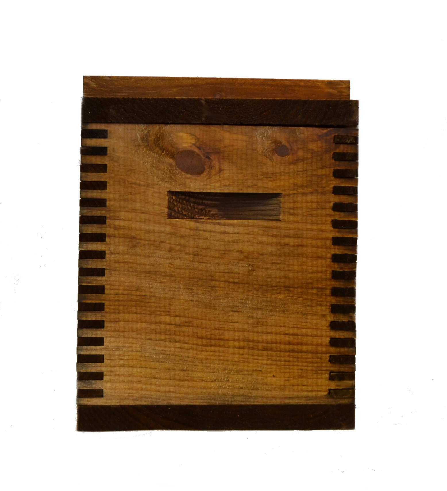 Standard Ammo Box - Durable Ammo Storage Case for Guns & Rifles - Perfect for Range Shooting, Hunting & Home Defense